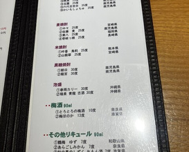 Dinner at Jidoriya Onza (じどりや 穏座)