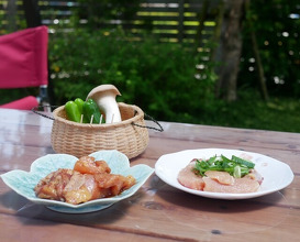 Dinner at Jidoriya Onza (じどりや 穏座)