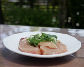 Dinner at Jidoriya Onza (じどりや 穏座)