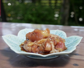 Dinner at Jidoriya Onza (じどりや 穏座)