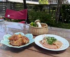 Dinner at Jidoriya Onza (じどりや 穏座)