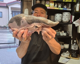 Dinner at Nama Horumon Dokoro Osamu Chan. (生ホルモン処 おさむちゃん。)