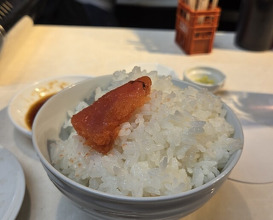 Dinner at Nama Horumon Dokoro Osamu Chan. (生ホルモン処 おさむちゃん。)