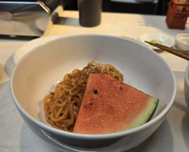 Dinner at Nama Horumon Dokoro Osamu Chan. (生ホルモン処 おさむちゃん。)