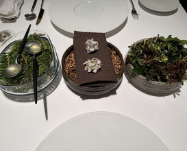 Dinner at Otowa restaurant (オトワ レストラン)