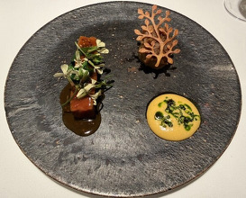 Dinner at Otowa restaurant (オトワ レストラン)