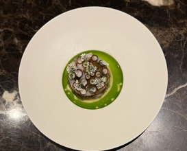 Dinner at pesceco (pesceco)