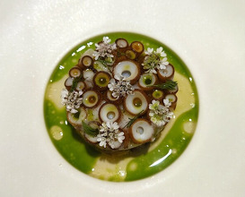 Dinner at pesceco (pesceco)