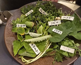 Dinner at PRESENTE Sugi (プレゼンテ スギ)