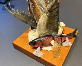 Dinner at PRESENTE Sugi (プレゼンテ スギ)