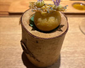 Dinner at RADICE (RADICE)