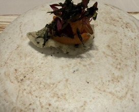 Dinner at Reminiscence