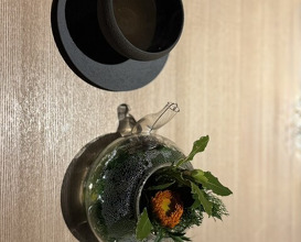 Dinner at respiración