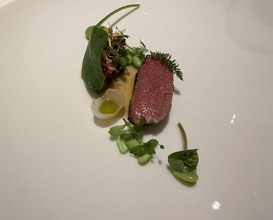 Dinner at Restaurant Arena (レストラン アレナ)