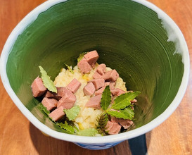 Dinner at Restaurant Ryu (レストランRyu)