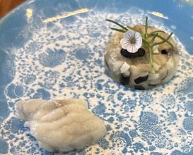 Dinner at Restaurant Ryu (レストランRyu)