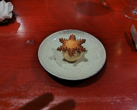 Dinner at Restaurant SNOW (レストラン スノゥ)