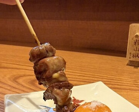 Dinner at Riba Tei (里葉亭)