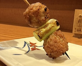 Dinner at Riba Tei (里葉亭)