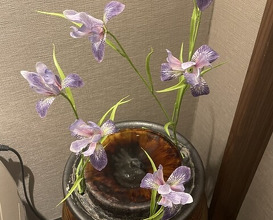 Dinner at Riba Tei (里葉亭)