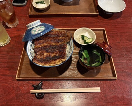 Dinner at Rin (麟)