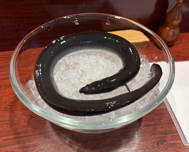 Dinner at Rin (麟)