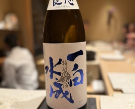 Dinner at Sushi Ryujiro