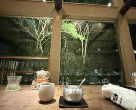 Dinner at Sennyuji Saika