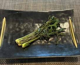 Dinner at Hida Kisetsu Ryori Sakana (飛騨季節料理 肴)
