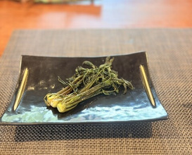 Dinner at Hida Kisetsu Ryori Sakana (飛騨季節料理 肴)