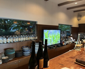 Dinner at Hida Kisetsu Ryori Sakana (飛騨季節料理 肴)