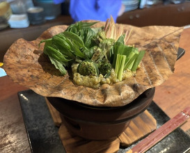 Dinner at Hida Kisetsu Ryori Sakana (飛騨季節料理 肴)