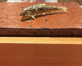 Dinner at Tempura Sakurabito