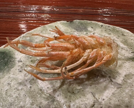 Dinner at Tempura Sakurabito