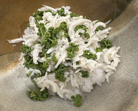 Dinner at Sawada(Osaka Fukushima)