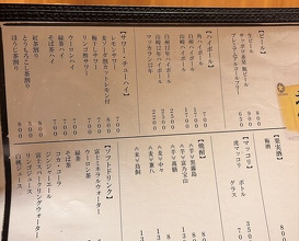 Dinner at Sumibiyakiniku Horumon Sawaishi