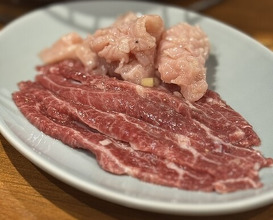 Dinner at Sumibiyakiniku Horumon Sawaishi