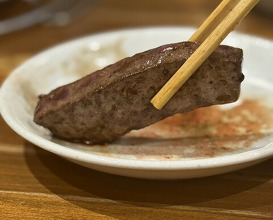Dinner at Sumibiyakiniku Horumon Sawaishi