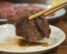 Dinner at Sumibiyakiniku Horumon Sawaishi