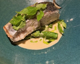 Dinner at SECRETO (SECRETO)