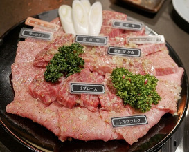 Dinner at Yakiniku Seiryuuen (焼肉 静龍苑)