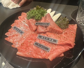 Dinner at Yakiniku Seiryuuen (焼肉 静龍苑)
