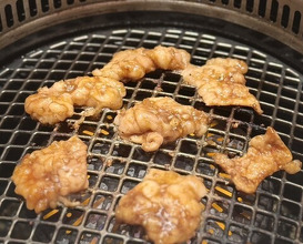 Dinner at Yakiniku Seiryuuen (焼肉 静龍苑)