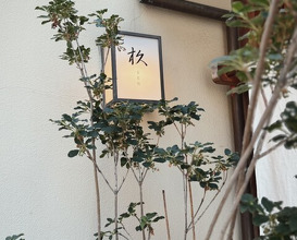 Dinner at SEN