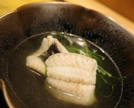 Dinner at Sushi Shizuku Shinsaibashi