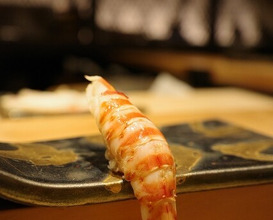 Dinner at Sushi Shizuku Shinsaibashi