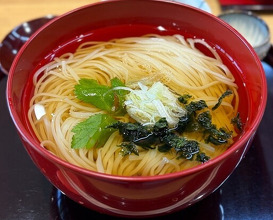 Dinner at Tempura Shoshin An (天ぷら 正心庵)