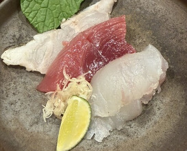 Dinner at Shutei Tanaka