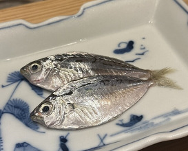Dinner at Nihonbashi Sonoji (日本橋 蕎ノ字)
