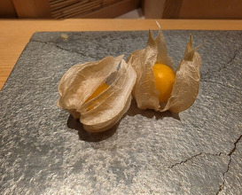 Dinner at Sushi Ei (寿司栄)